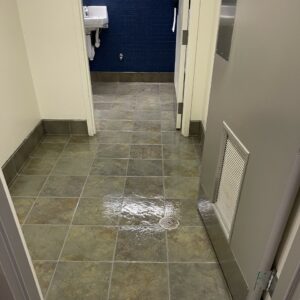 Sealer over tile bathroom flooring